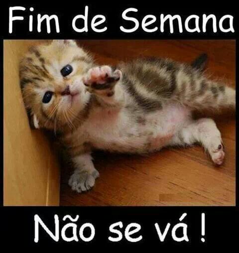 .facebook_1477408091.jpg image